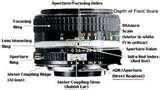 photos of Fisheye Lens Nell