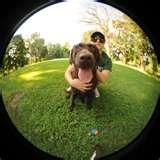 Kenko Fisheye Lens 180 photos