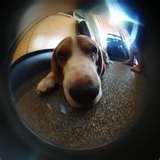 Fisheye Lens Stabilizer images