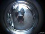 pictures of Fisheye Lens Door