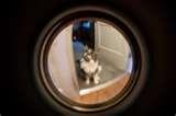 pictures of Fisheye Lens Door