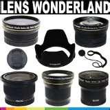 Fisheye Lens G1 Lumix photos
