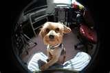photos of Fisheye Lens D3000 Nikon