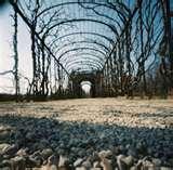 images of Fisheye Lens Pinhole Camera