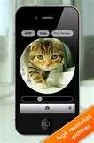 images of Fisheye Lens Best