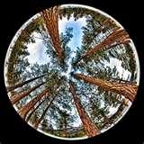 Fisheye Lens Best photos