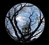 Fisheye Lens Tutorial pictures