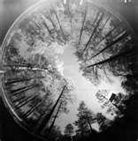 Fisheye Lens Film Camera pictures