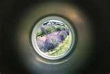 pictures of Fisheye Lens Peephole