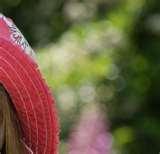 Nikon L120 Fisheye Lens