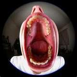 Fisheye Lens Demo photos