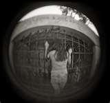 images of Fisheye Lens Knocking