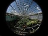 Fisheye Lens On A Camera