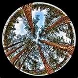 Fisheye Lenses Get pictures