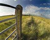 images of Fisheye Lens 300d