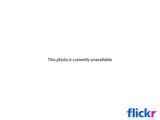 images of Fisheye Lens Black Corners