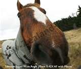 Fisheye Lens Adapter For Digital Camera photos