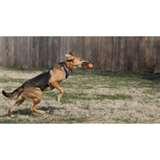 photos of Fisheye Lenses For Canon T3