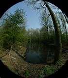 Fisheye Lens 220 pictures