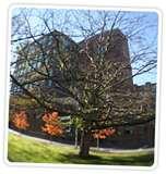 Using Fisheye Lens Tips images