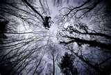 photos of Wide Angle Lens Epic