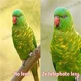 Wide Angle Lens Kodak Zx1 pictures