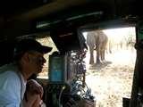 pictures of Wide Angle Lens African Safari