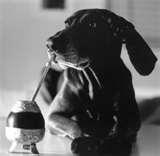 pictures of Wide Angle Lens Pentax K1000