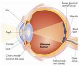 pictures of Wide Angle Lens Human Eye