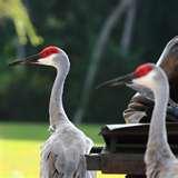 Wide Angle Lens Best Canon 7d pictures