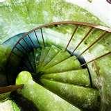 images of Wide Angle Lens Settings