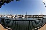 Are All Wide Angle Lenses Fisheye pictures