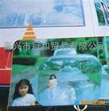 pictures of Wide Angle Lens Group Photos