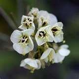 Wide Angle Lenses Digital