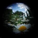 Fisheye Lens Door Viewer photos