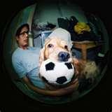 Fisheye Lens Lomography