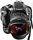 Fisheye Lens Powershot pictures