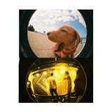 Fisheye Lens Game