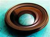 Fisheye Lens By Raynox