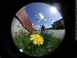 photos of Fisheye Lens Normal