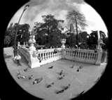 Fisheye Lens Kit For Nikon D3100