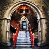 Fisheye Lens Melbourne