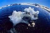 Fisheye Lens Antarctica photos