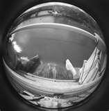 images of Fisheye Lens Get