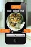 Fisheye Lens Lite pictures