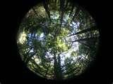 Fisheye Lens Hemispherical
