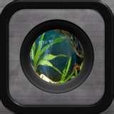 Fisheye Lens Lite