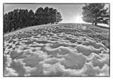 images of Fisheye Lens Snow
