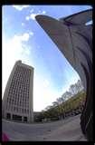 Fisheye Lens Its Use images