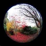 pictures of Fisheye Lens Maker